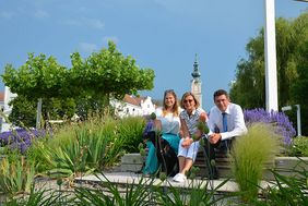 Sommerabend Picknick